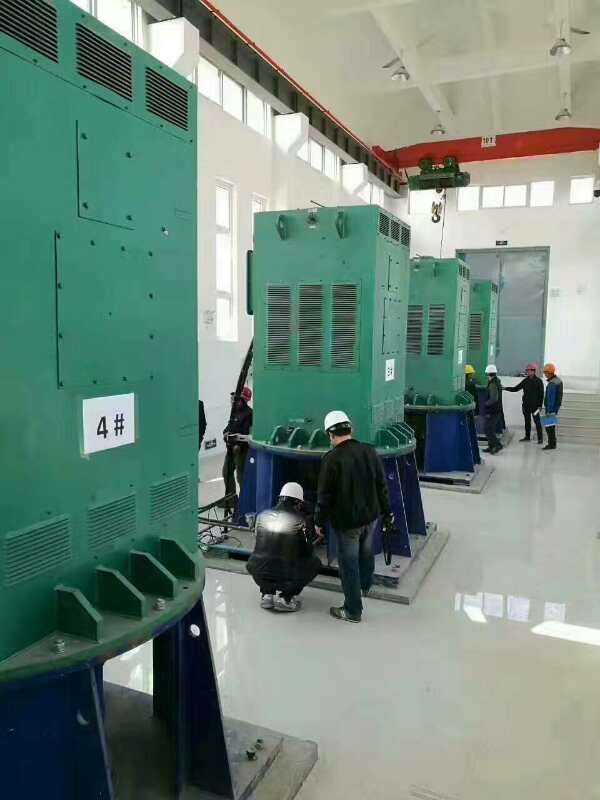 松阳某污水处理厂使用我厂的立式高压电机安装现场